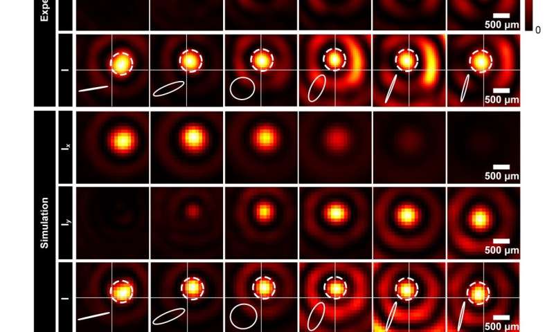 Structured light beams with controllable polarization along arbitrary trajectories