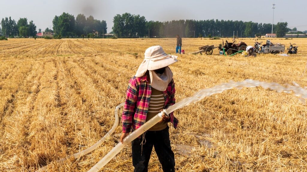 Drought in some areas and flooding further south as extreme weather hits China